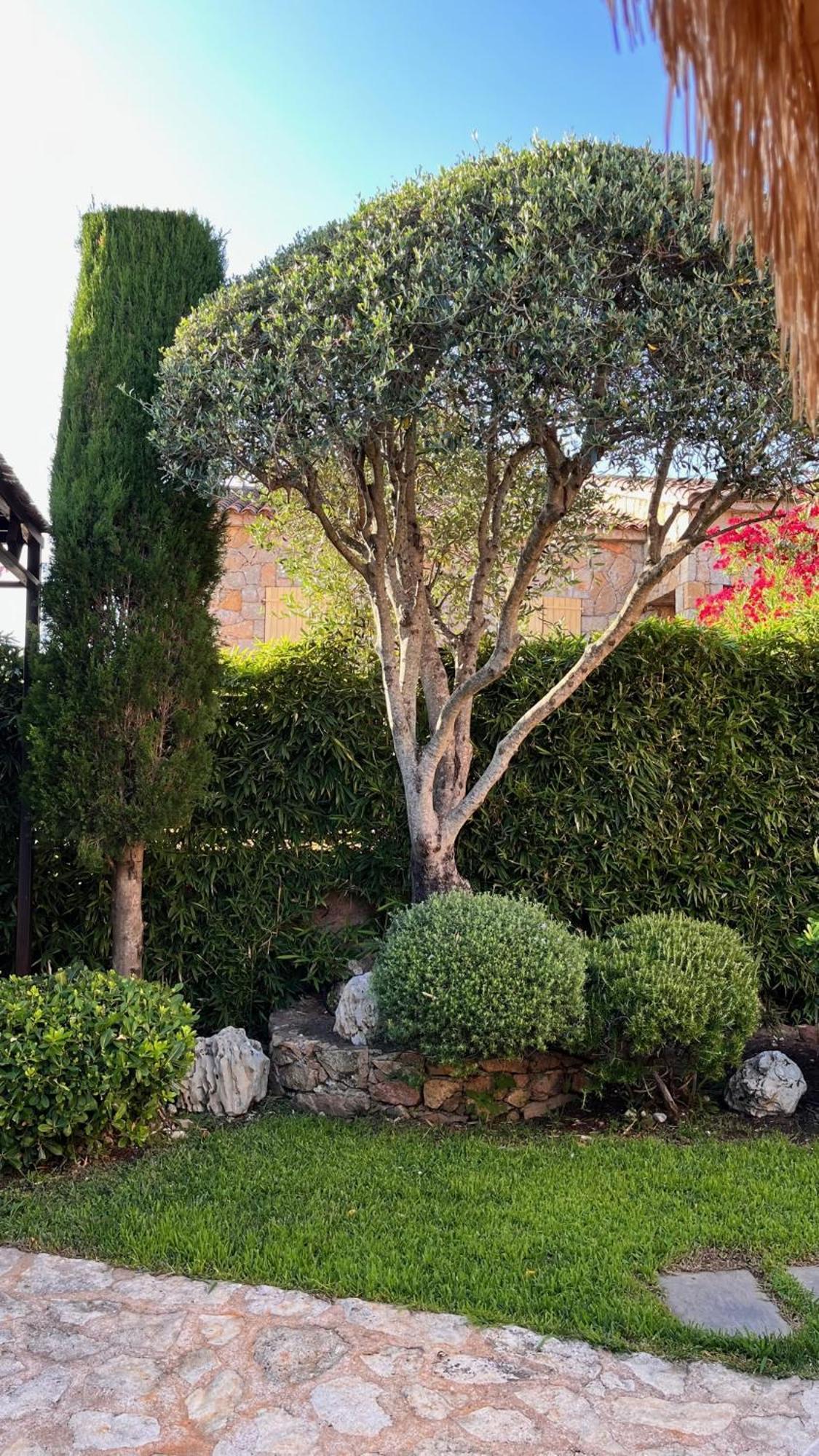 Chez Virginie Panzió Porto-Vecchio  Kültér fotó